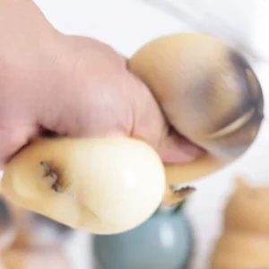 Cute Capybara Squeeze Toy - Image 4